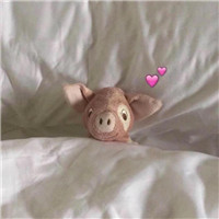 情侣头像猪公猪婆5