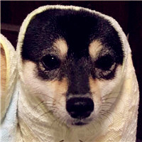 不露脸伤感女头像女生12