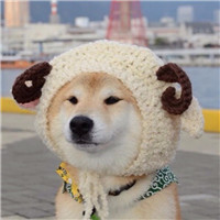 周星驰微信头像超清2