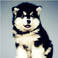 炫酷头像男女都喜欢13 炫酷头像男女都喜欢13