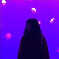 索隆和路飞的兄弟头像一左一右2