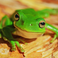 动态头像个性网10 动态头像个性网10