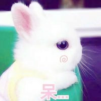 心甘情愿的典故3