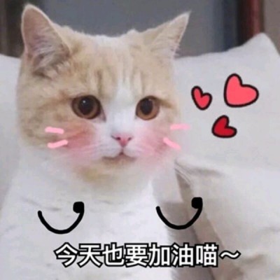 适合女生头像可爱小女孩11