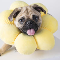 抖音头像合集6 抖音头像合集6