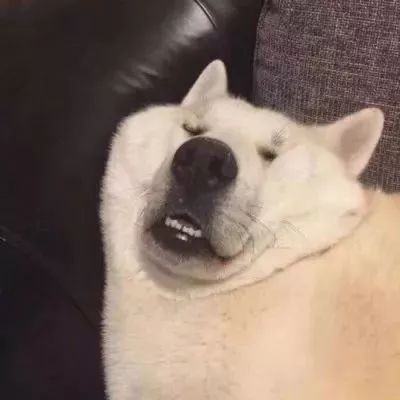 微信丑图头像搞笑3