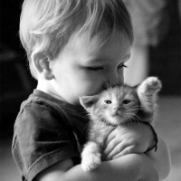 头像炫酷片尾12