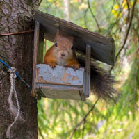 单身个性头像图片5 单身个性头像图片5
