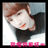 动物卡通头像可爱呆萌卡哇伊4