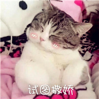 简单个性头像带签名10