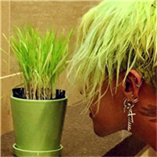 超仙女可爱头像大全8