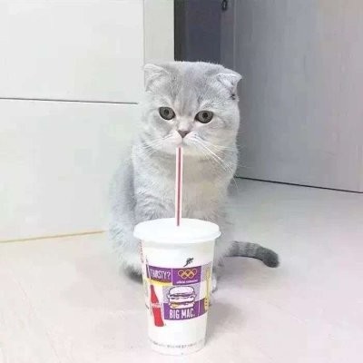 情侣头像图1 情侣头像图1