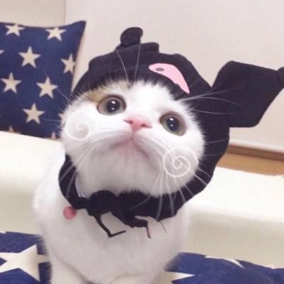 情侣头像单独一个人10