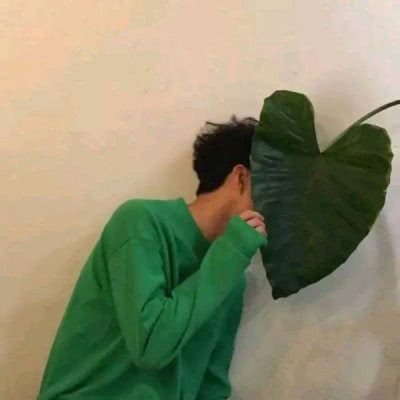 微信头像花朵大全唯美2