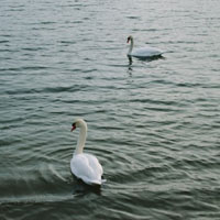 叼着烟的女生个性头像2