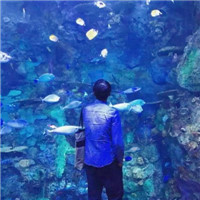 8组青春的帅哥头像图片2