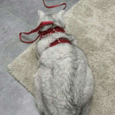 最好看抖音头像2