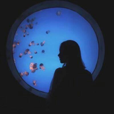 夫人不吃鱼的抖音头像5