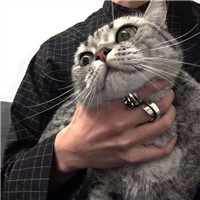 黄猿酷炫头像4
