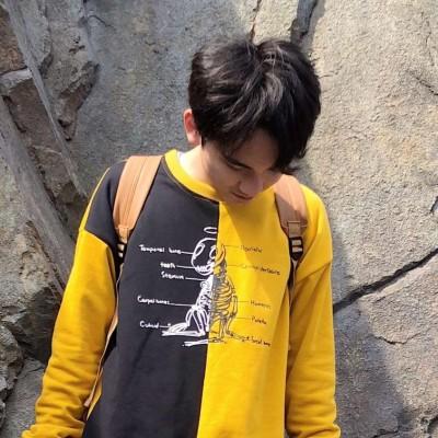 素描头像教材推荐7