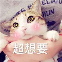 微信头像可以用什么好2