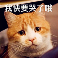 抖音个性头像霸气3