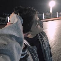 爱国版头像大白熊13