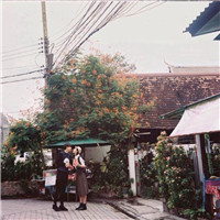 圣诞姐妹头像5
