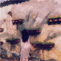 松毛虫图片唯美头像1