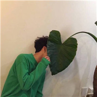 动漫王者头像图片公孙离9