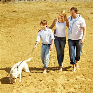 两兄弟头像动画13