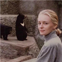 单身隐晦头像2 单身隐晦头像2