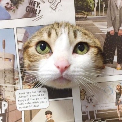 姐妹关系好的比喻词10 姐妹关系好的比喻词10