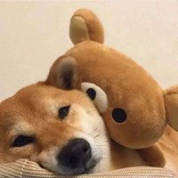 qq男生霸气头像全身背影7