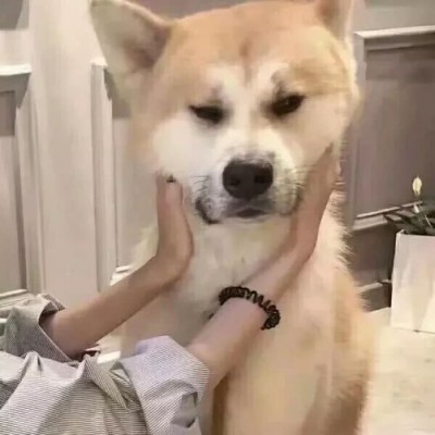 枣红色风景头像有哪些1