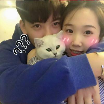猪头像情侣头像一对8