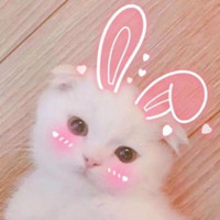 背影头像女生唯美漂亮 一个人14