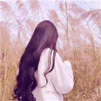 黑色小土狗幼崽头像12
