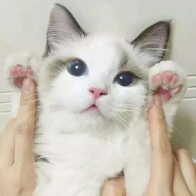 qq个性头像黑色高冷2