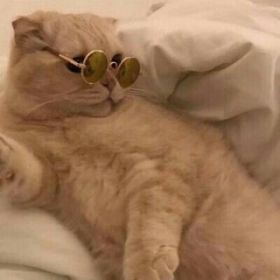 我的头像图片 冷酷5