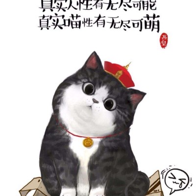 少女卡通头像搞怪可爱7