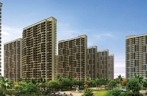 关于没有的图片6