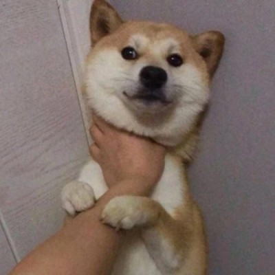 扣扣头像头纱1
