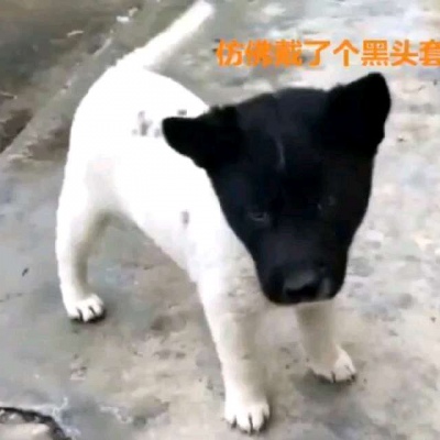 女学生扣扣头像唯美4