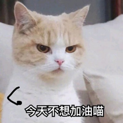 可爱森林系小仙女头像真人4