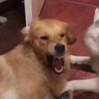 抖音最火网图头像9