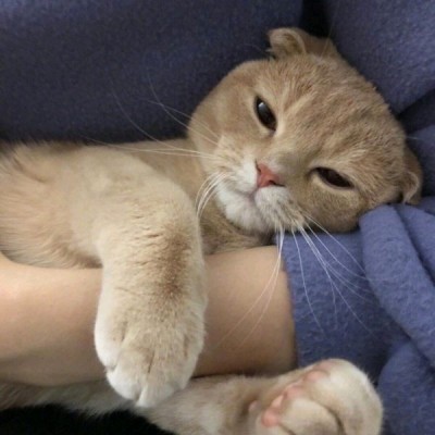 侧面卡通美女图片头像8