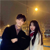 头像苍蝇身子像蜜蜂的是什么6