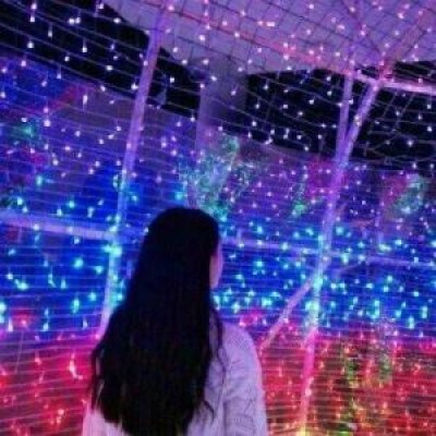 三条狗头像漫画2 三条狗头像漫画2