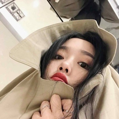 名人头像图片大全 简笔画2